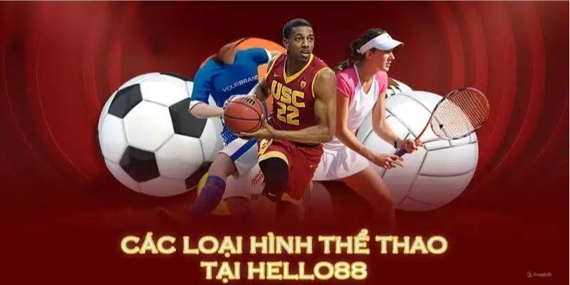 Điểm danh các loại hình cá cược